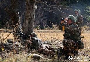 深山狙击,生死较量，猎杀者的隐秘战场